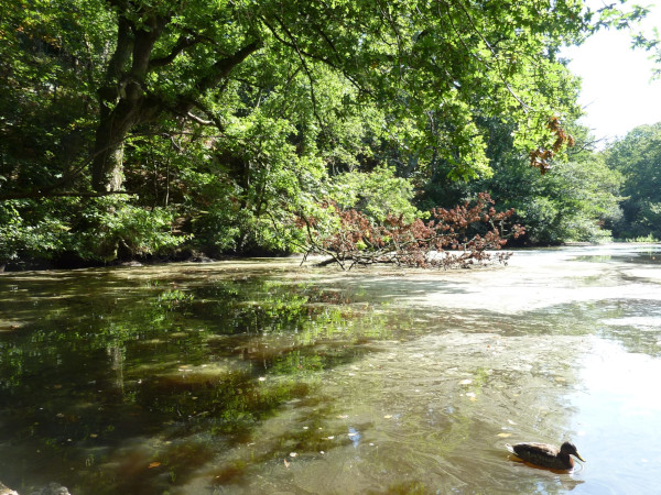 Vallée des Traouiero